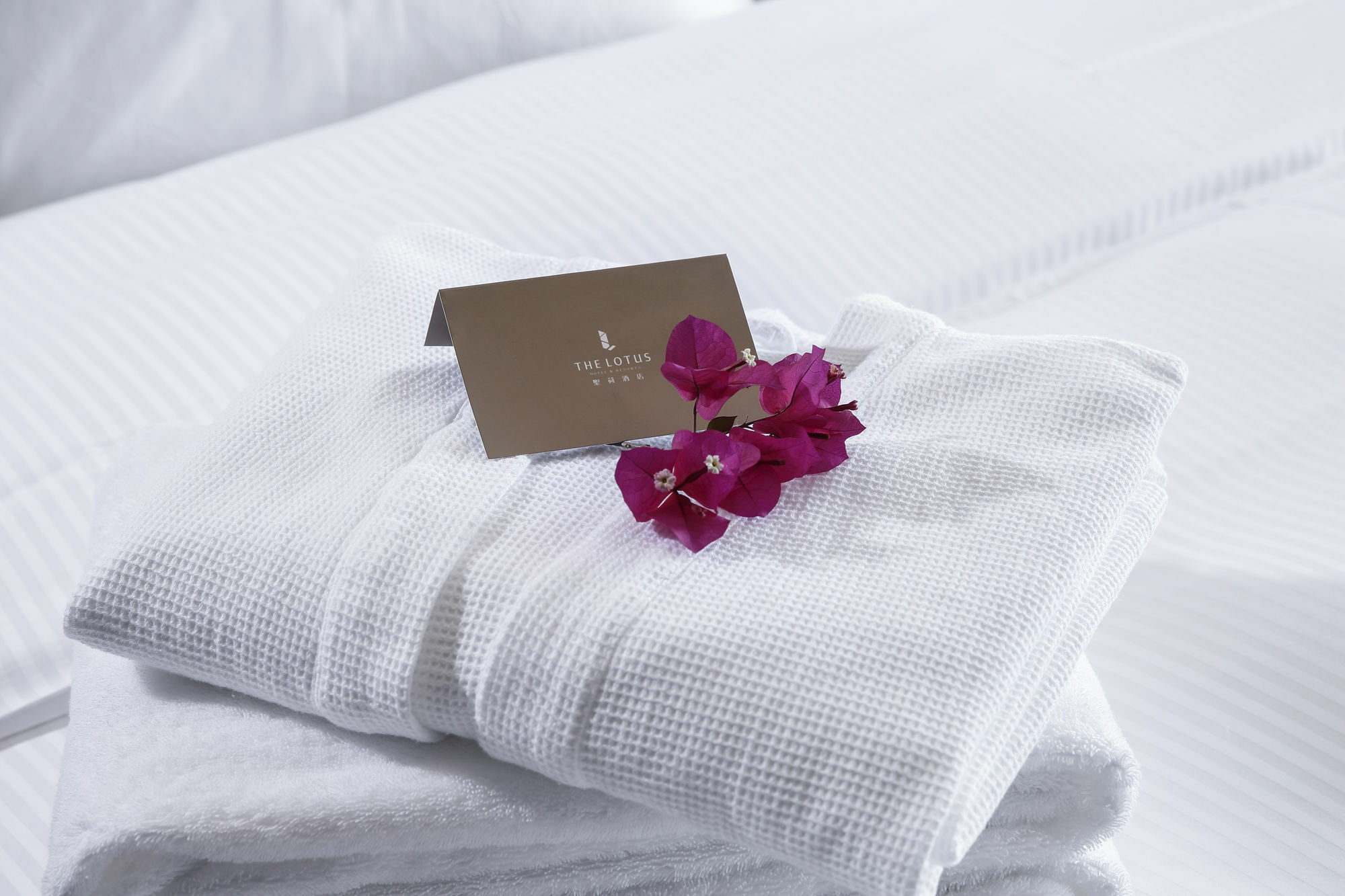 Chongqing The Lotus Hotel Экстерьер фото